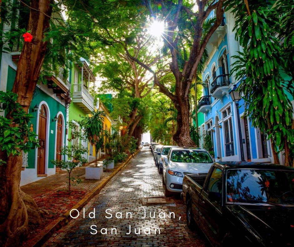 Bee Inn Puerto Rico Charming Urban Apartment In San Juan Eksteriør bilde